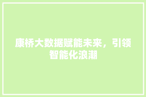 康桥大数据赋能未来，引领智能化浪潮