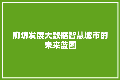 廊坊发展大数据智慧城市的未来蓝图