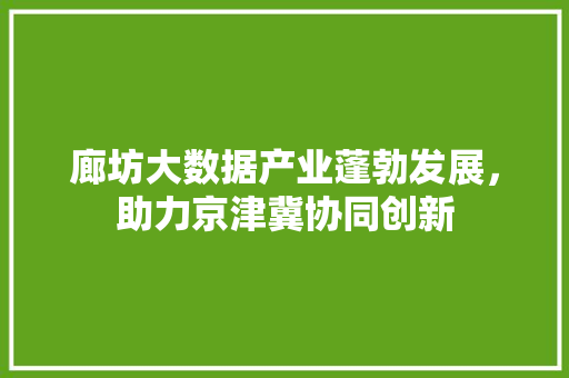 廊坊大数据产业蓬勃发展，助力京津冀协同创新
