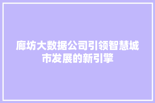 廊坊大数据公司引领智慧城市发展的新引擎