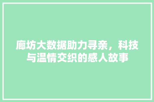廊坊大数据助力寻亲，科技与温情交织的感人故事