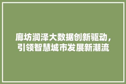 廊坊润泽大数据创新驱动，引领智慧城市发展新潮流