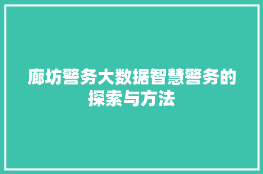廊坊警务大数据智慧警务的探索与方法