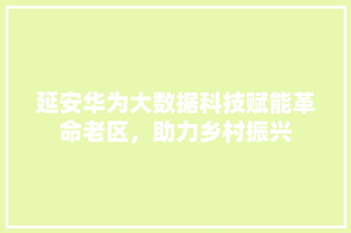 延安华为大数据科技赋能革命老区，助力乡村振兴