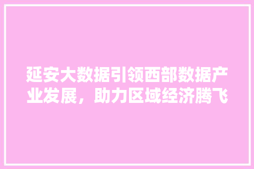 延安大数据引领西部数据产业发展，助力区域经济腾飞