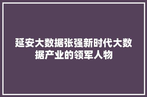 延安大数据张强新时代大数据产业的领军人物
