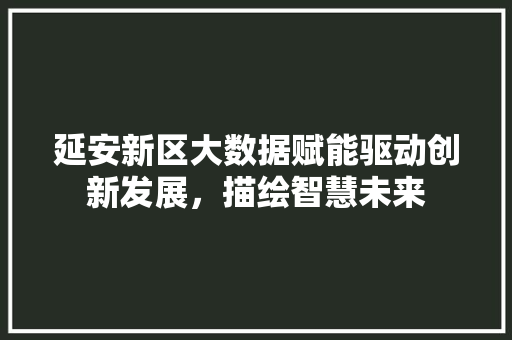延安新区大数据赋能驱动创新发展，描绘智慧未来