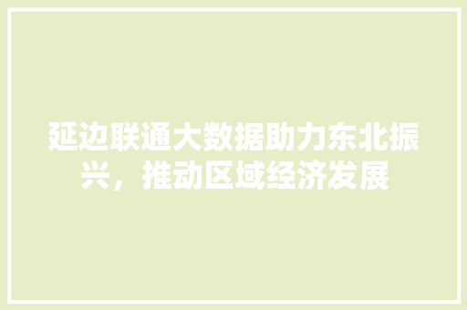 延边联通大数据助力东北振兴，推动区域经济发展