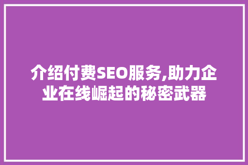 介绍付费SEO服务,助力企业在线崛起的秘密武器