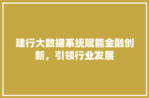 建行大数据系统赋能金融创新，引领行业发展