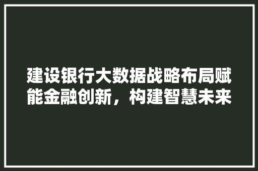 建设银行大数据战略布局赋能金融创新，构建智慧未来