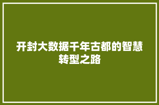 开封大数据千年古都的智慧转型之路
