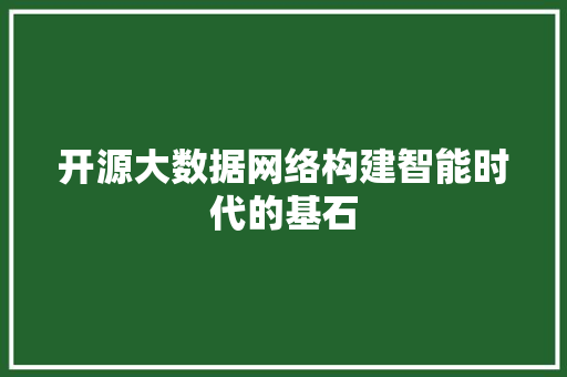 开源大数据网络构建智能时代的基石