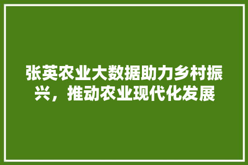 张英农业大数据助力乡村振兴，推动农业现代化发展