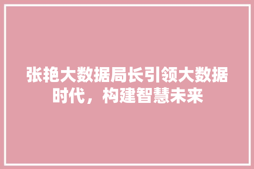 张艳大数据局长引领大数据时代，构建智慧未来