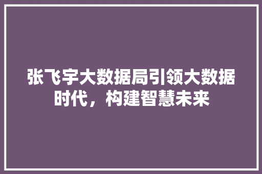 张飞宇大数据局引领大数据时代，构建智慧未来