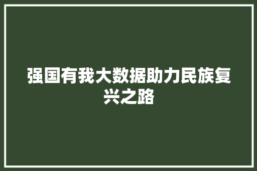 强国有我大数据助力民族复兴之路