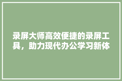 录屏大师高效便捷的录屏工具，助力现代办公学习新体验