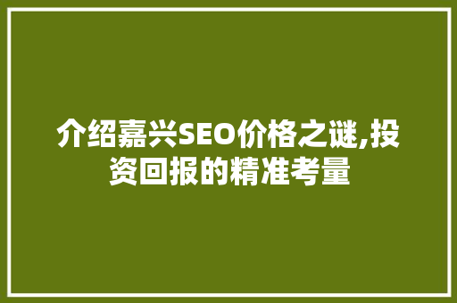 介绍嘉兴SEO价格之谜,投资回报的精准考量 响应式设计