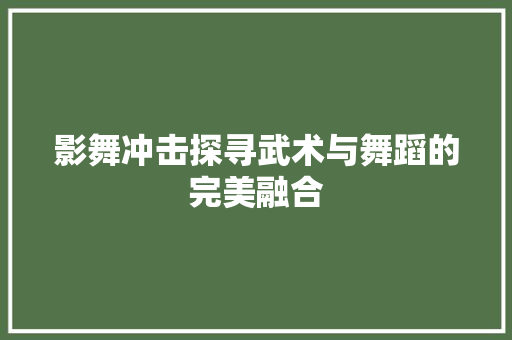 影舞冲击探寻武术与舞蹈的完美融合