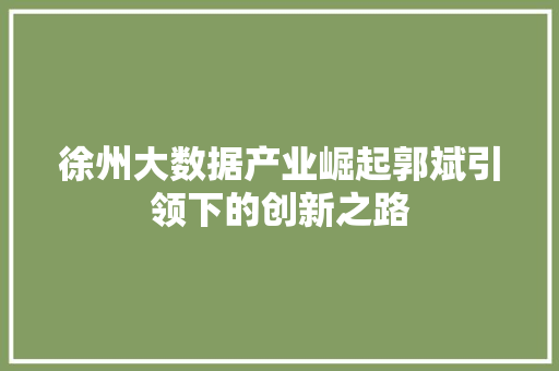 徐州大数据产业崛起郭斌引领下的创新之路