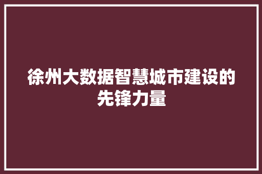 徐州大数据智慧城市建设的先锋力量