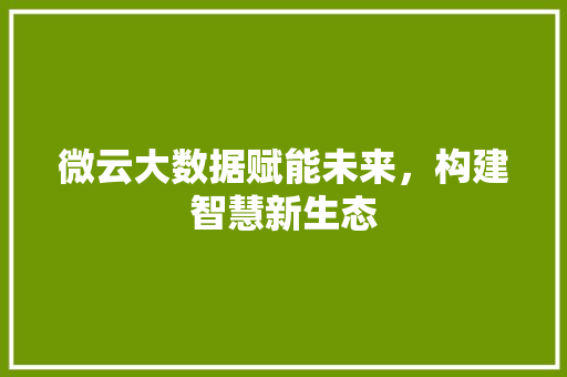微云大数据赋能未来，构建智慧新生态