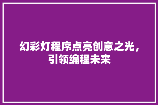 幻彩灯程序点亮创意之光，引领编程未来