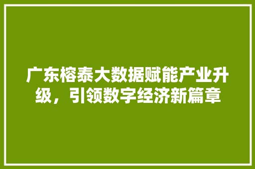 广东榕泰大数据赋能产业升级，引领数字经济新篇章