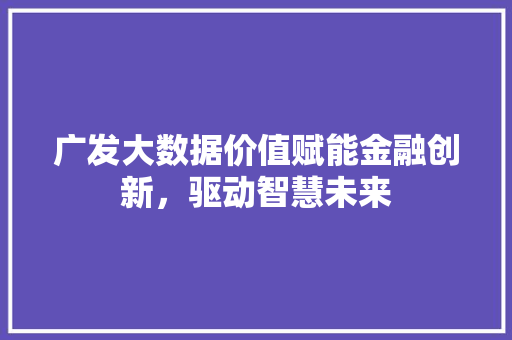 广发大数据价值赋能金融创新，驱动智慧未来
