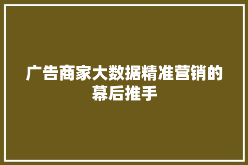 广告商家大数据精准营销的幕后推手