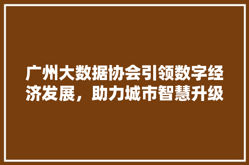 广州大数据协会引领数字经济发展，助力城市智慧升级