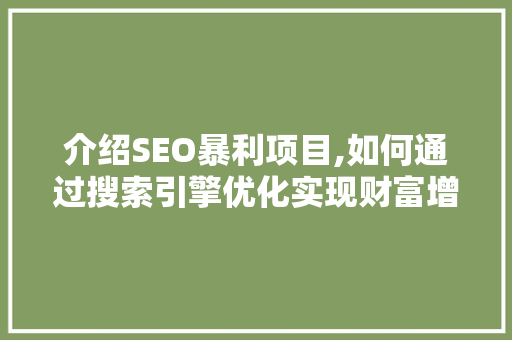 介绍SEO暴利项目,如何通过搜索引擎优化实现财富增长