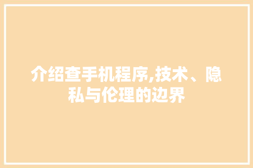 介绍查手机程序,技术、隐私与伦理的边界 缓存Redis