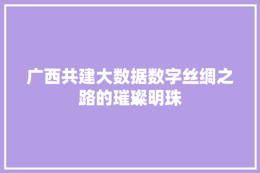 广西共建大数据数字丝绸之路的璀璨明珠