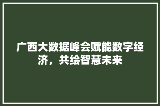 广西大数据峰会赋能数字经济，共绘智慧未来