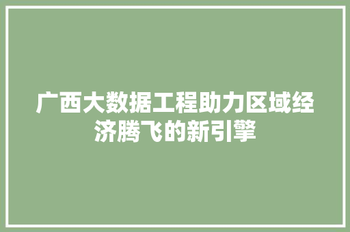广西大数据工程助力区域经济腾飞的新引擎