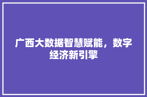 广西大数据智慧赋能，数字经济新引擎