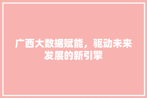 广西大数据赋能，驱动未来发展的新引擎