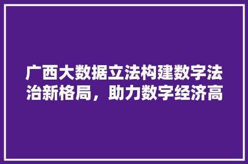 广西大数据立法构建数字法治新格局，助力数字经济高质量发展