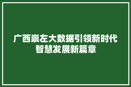 广西崇左大数据引领新时代智慧发展新篇章