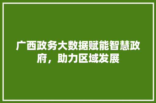 广西政务大数据赋能智慧政府，助力区域发展