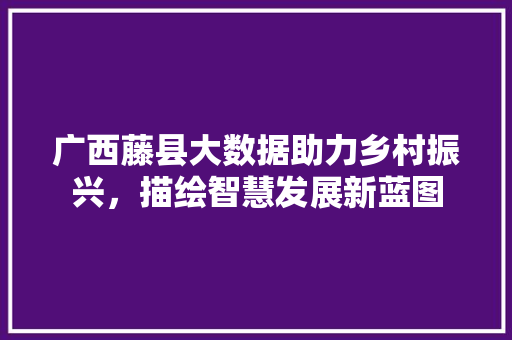 广西藤县大数据助力乡村振兴，描绘智慧发展新蓝图