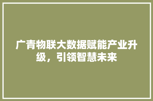 广青物联大数据赋能产业升级，引领智慧未来