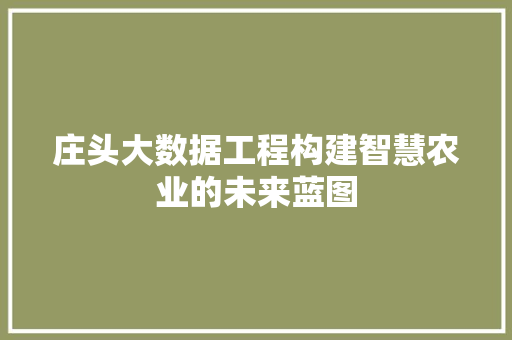 庄头大数据工程构建智慧农业的未来蓝图