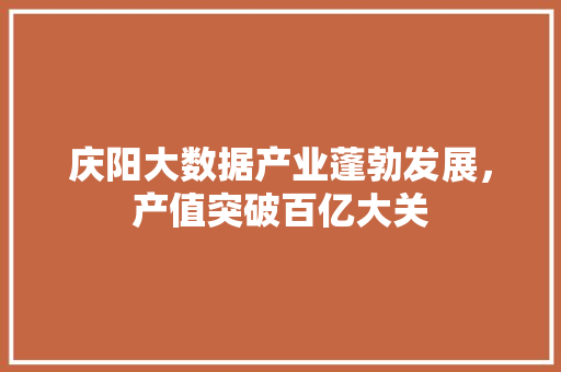 庆阳大数据产业蓬勃发展，产值突破百亿大关