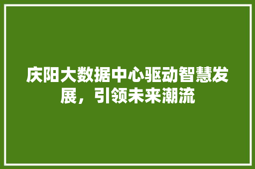 庆阳大数据中心驱动智慧发展，引领未来潮流