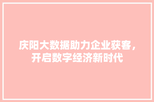 庆阳大数据助力企业获客，开启数字经济新时代