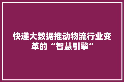 快递大数据推动物流行业变革的“智慧引擎”
