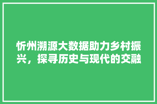 忻州溯源大数据助力乡村振兴，探寻历史与现代的交融
